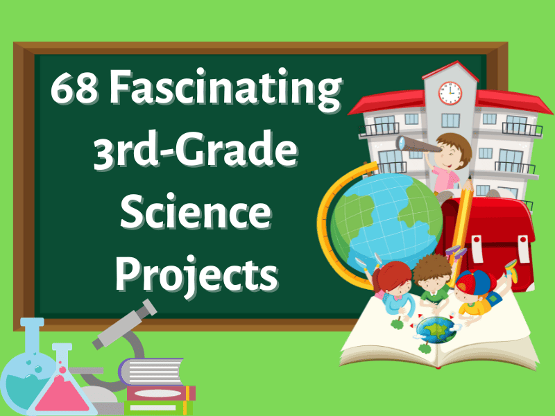 Hands-on Learning: DIY Natural Science Projects for Homeschoolers