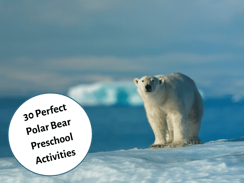 15 of the Best Preschool Arctic Animals Activities