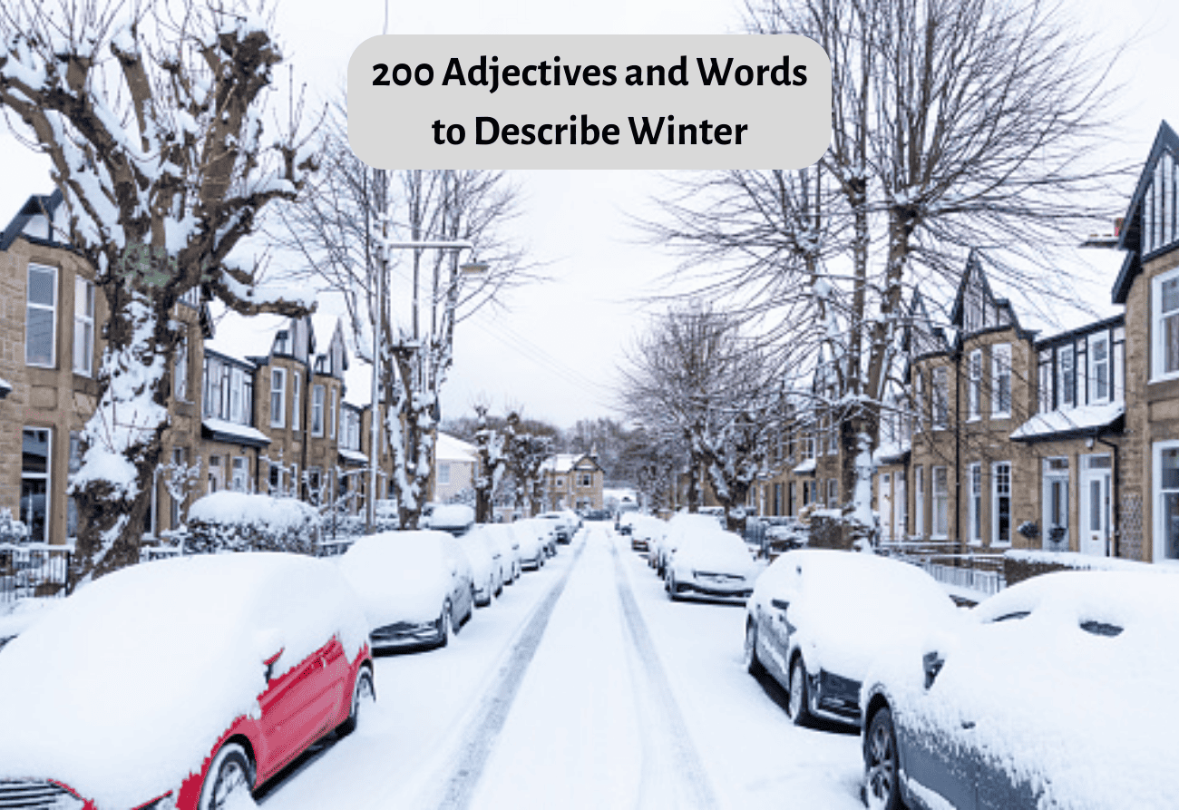 Winter Words Adjectives