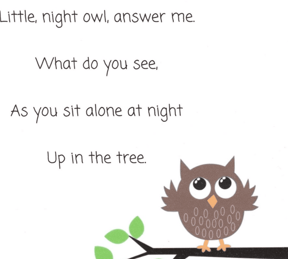 20 Owl Activities For A 