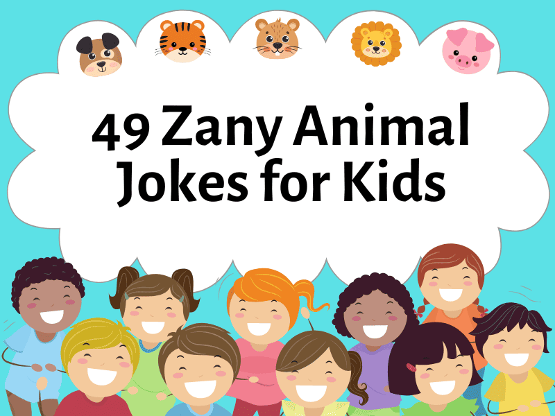 funny kid jokes about animals