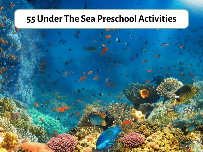 55 Under Activities - Expertise Preschool The Teaching Sea